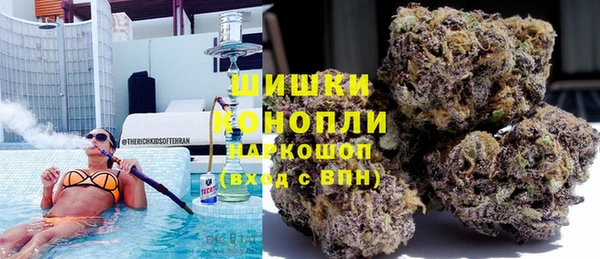 крисы Алзамай
