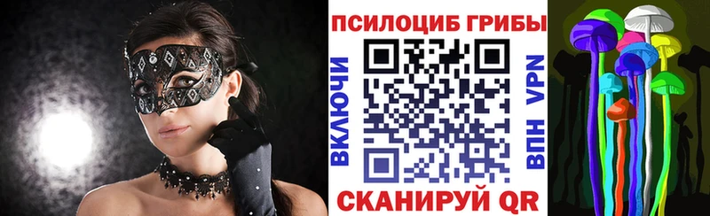 Псилоцибиновые грибы Psilocybine cubensis  купить наркоту  Черепаново 